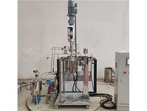 1.5L不銹鋼油浴電加熱實(shí)驗(yàn)釜已完工發(fā)往馬來西亞