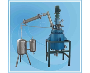 浙江100L Reactor with condenser