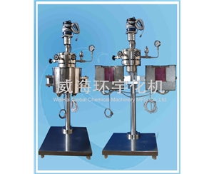 浙江0.05L High- pressure  Reactor