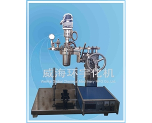 浙江0.5L Laboratory Reactor