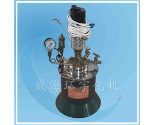 浙江磁力反應(yīng)釜