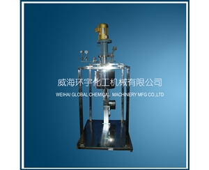 浙江5L電動(dòng)升降反應(yīng)釜