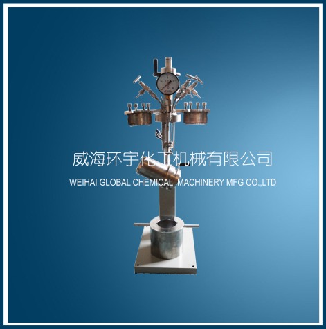 浙江mini快開升降反應(yīng)釜