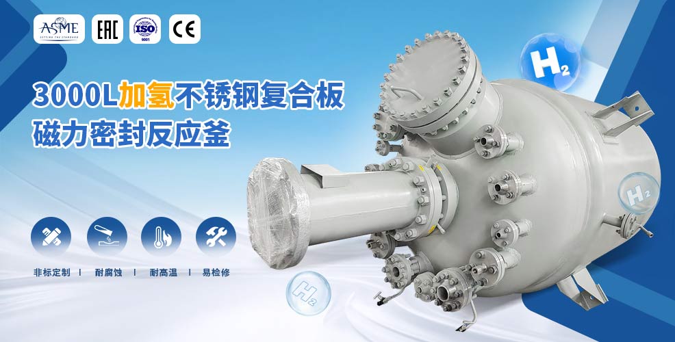 浙江3000L不銹鋼復合板加氫工業(yè)釜